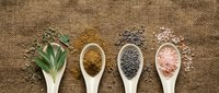 Four wooden spoons filled with colorful spices and herbs arranged on natural burlap texture background for culinary cooking and seasoning concepts.