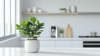 Small green houseplant in white ceramic pot on marble countertop in modern minimalist kitchen with bright natural light.