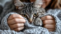 Adorable tabby cat with bright yellow eyes peeking out from soft gray knitted scarf wrap, showing playful and cozy winter mood for pet lifestyle content.