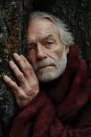 Senior man with white beard and gray hair wearing burgundy sweater leaning against weathered tree trunk, suitable for aging, lifestyle, and portrait projects.