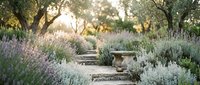 Peaceful Mediterranean garden pathway with lavender bushes and stone bench under olive trees during golden hour sunset light for relaxation and landscaping.