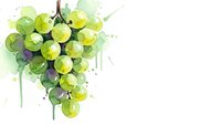 Watercolor grape cluster with green and yellow tones, artistic paint splashes and drips on white background for wine and food design projects.