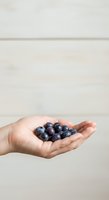 Open palm holding fresh blueberries against neutral background. Suitable for health, nutrition, organic food, wellness and dietary supplement marketing materials.