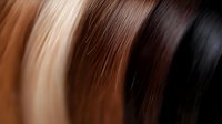 Smooth hair strands in gradient from blonde to black showing natural color transition and silky texture for beauty and haircare concepts.