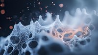 Microscopic view of organic cellular structure with interconnected mesh network in blue and orange tones showing biological complexity at molecular level.