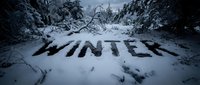 Word WINTER written in snow in a dark forest clearing, surrounded by fallen trees and branches in a moody winter landscape.