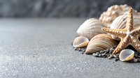 Seashells and starfish arrangement on gray textured background with pebbles. Natural beach elements creating coastal border design with copy space.