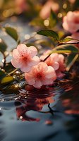 Delicate pink cherry blossoms floating on water surface with ripples, green leaves and soft bokeh lights creating dreamy spring atmosphere. Perfect for wellness designs.