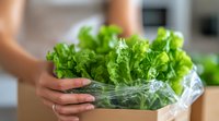 Fresh green lettuce leaves in plastic bag held by female hands, showing sustainable food storage and grocery shopping concept. Focus on crisp leafy vegetables.