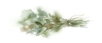 Watercolor herb bundle with tied stems isolated on white background, suitable for culinary, wellness, and botanical design projects.