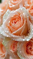 Delicate peach roses with water droplets, showcasing soft petals and fresh morning dew in a romantic floral arrangement.