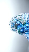Digital brain with glowing blue circuits and microchips representing artificial intelligence, machine learning, and neural networks for technology concepts.