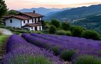 Rustic villa overlooking mountain valley with vibrant purple lavender field in foreground during sunset, creating serene countryside atmosphere.