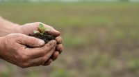 Farmer holding young seedling plant in cupped hands over blurred agricultural field background, representing growth, sustainability, and environmental care.