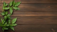Fresh green leaves on dark wooden planks background with copy space for text. Natural rustic composition for organic design.