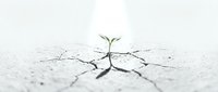 Small green seedling sprouting from cracked dry earth with roots visible, symbolizing growth, resilience, and new beginnings in harsh conditions.