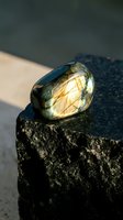 Golden rutilated quartz crystal with needle inclusions resting on dark volcanic rock surface in natural sunlight for healing and meditation practices.