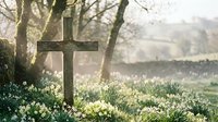 Stone cross grave marker surrounded by snowdrops in peaceful cemetery during spring morning light for memorial and remembrance concepts.