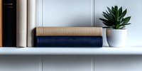 Minimalist white shelf with vintage books and succulent plant in ceramic pot against classic wainscoting wall, modern home decor styling.