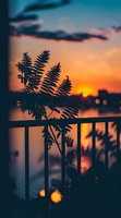 Silhouette of fern leaves against dramatic orange sunset sky, reflecting in water behind metal railing, with soft bokeh lights creating dreamy atmosphere.