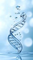 Crystal clear water DNA double helix structure with floating droplets against soft blue sky background for science and biotechnology concepts.