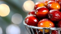 Fresh ripe palm oil fruits in metal basket with soft bokeh background, close up view of red orange tropical harvest for cooking oil production.