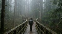 Hiker with backpack walking on wooden boardwalk through misty evergreen forest with tall trees and fog, outdoor adventure and nature exploration.