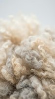 Natural raw wool fleece with soft curly texture for textile and craft projects on neutral background.