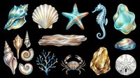 Watercolor ocean collection featuring isolated seashells, starfish, seahorse, crab, coral, and sand dollar on transparent background. Ready for t-shirt designs, clipart, stickers, sublimation, and print-on-demand products.