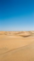 Vast desert landscape with rolling golden sand dunes under clear blue sky, showcasing arid terrain and natural patterns for travel, nature, and environmental design projects.