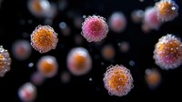 Microscopic view of floating virus cells with orange and pink gradient coloring on black background, detailed scientific visualization for medical or educational purposes.