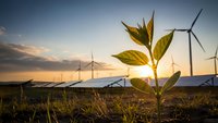 Young green plant growing in field with wind turbines and solar panels at sunset representing sustainable energy and environmental growth.