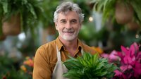 Mature Caucasian male gardener with gray hair and beard wearing brown shirt and beige apron holds green potted plant in garden center surrounded by colorful flowers.