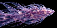 Ethereal translucent jellyfish with flowing purple and pink tendrils against black background, creating dreamlike underwater atmosphere.