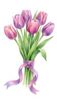 Watercolor tulip bouquet with purple ribbon on white background, spring flowers arrangement for greeting cards, wedding invitations and floral designs.