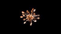 Glowing copper metallic virus structure with spiky protrusions against black background, molecular scientific visualization for medical and educational concepts.