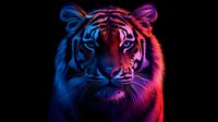 Majestic tiger portrait with vibrant blue and pink neon lighting effects on black background creating dramatic wildlife art for modern design projects.