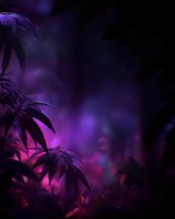 Cannabis leaves silhouetted against dreamy purple and pink bokeh background, creating mystical atmosphere for wellness and alternative medicine concepts.
