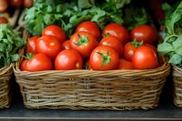Fresh ripe red tomatoes in rustic wicker basket with green stems and leaves, farm market produce display showing organic harvest and healthy food.