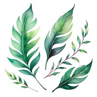 Watercolor green tropical leaves and branches on white isolated background, botanical elements for nature-inspired designs and decorative projects.