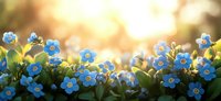Small blue forget-me-not flowers blooming in garden with warm golden sunlight creating dreamy bokeh background for spring nature designs.