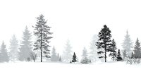 Misty winter forest landscape with tall pine trees silhouetted against white fog, creating a serene and atmospheric snowy scene.