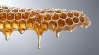 Fresh golden honeycomb dripping with pure honey against clean background. Natural organic sweetener flowing from hexagonal wax cells for culinary and wellness use.