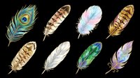 Colorful bird feathers set isolated on transparent background, ready for stickers, t-shirt design, sublimation, print on demand, and clipart use.