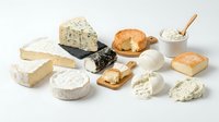 Assorted gourmet cheese selection with soft brie, blue cheese, aged cheddar and fresh mozzarella arranged on white background for culinary photography.