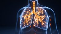 Glowing human lungs and bronchi visualization with luminous effect on dark background showing respiratory system anatomy in medical science concept.