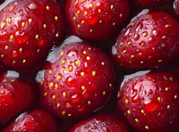 Fresh ripe wild strawberries with water drops in macro photography showing detailed texture and natural pattern of juicy red berries.