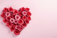 Heart shape made from pink and red roses arranged on soft pink background, romantic floral composition for Valentine's Day, wedding or anniversary celebration.