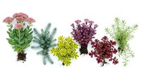 Colorful aquatic plants collection with pink flowers, ferns, and leafy varieties isolated on white background for aquarium design and decoration.