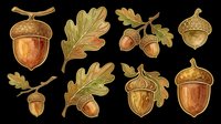 Autumn acorn and oak leaf clipart set, isolated on transparent background. Watercolor style elements for stickers, t-shirt design, print on demand, and sublimation projects.